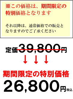 ���ʌ��艿�i