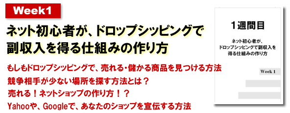 1�T�ԖځF�@�l�b�g���S�҂��A�h���b�v�V�b�s���O�ŉ҂��d�g�݂��̂P