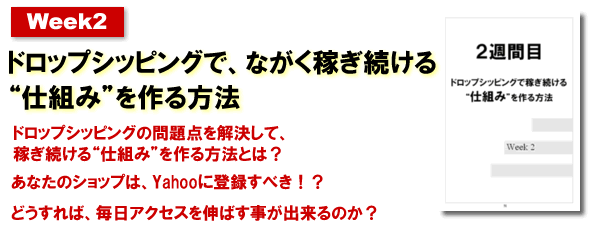 2�T�ځF�@�h���b�v�V�b�s���O�łȂ����҂�������d�g�݂������@